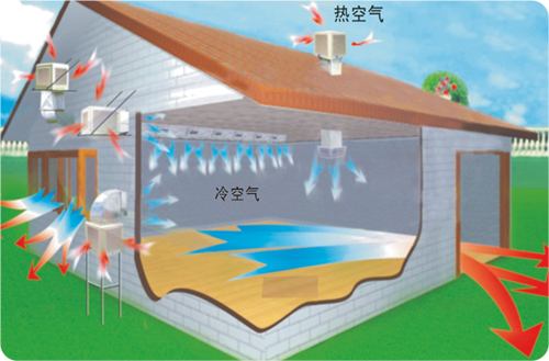 湖南冷風(fēng)機(jī)如何安裝及注意事項(xiàng)